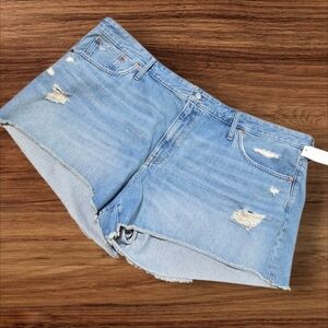 Madewell Distressed Relaxed Denim Women Short Shorts Plus Size NWT